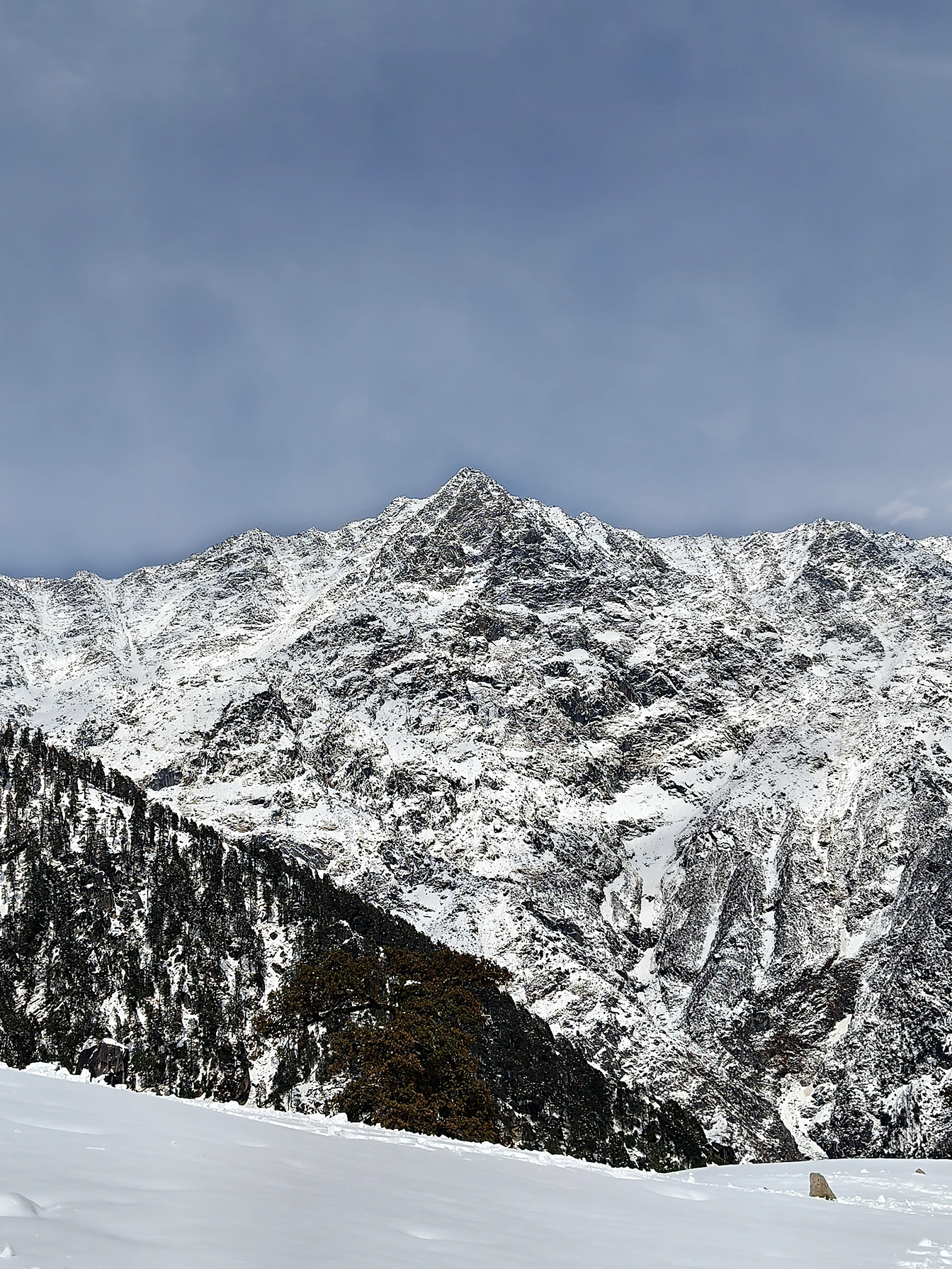 Triund Gallery 14