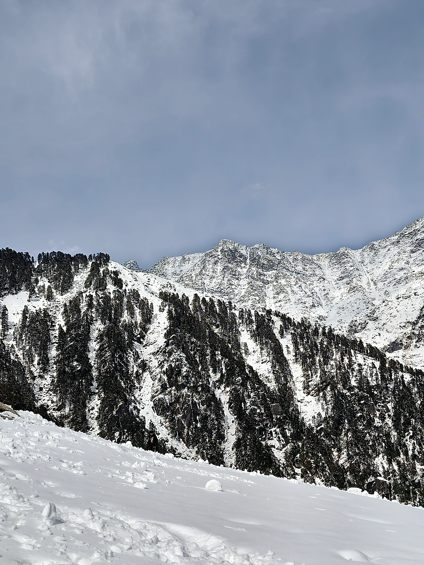 Triund Gallery 16